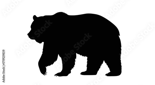 Black silhouette of a bear walking with details of claws fur