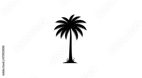 Black silhouette of a palm tree tall trunk radiating fronds set against a white background