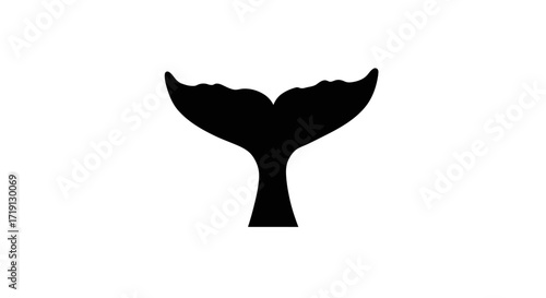 Black silhouette of a whale tail fanshaped standing on white background