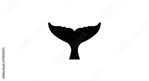 Black silhouette of a whales tail on a white background