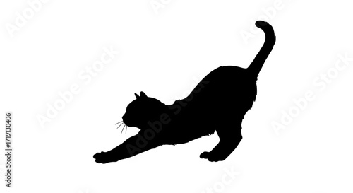 Silhouette of a cat stretching showing its arched back and extended front paws