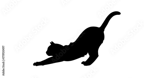 Silhouette of a cat stretching with its tail up and a paw extended