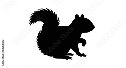 Silhouette of a squirrel side view with a bushy tail