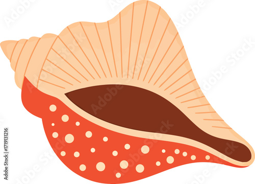 Tropical seashell vector illustration isolated beach ocean life vector