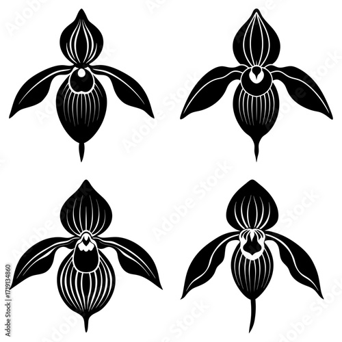 Four stylized black and white lady slipper orchid flowers in a symmetrical arrangement on white background