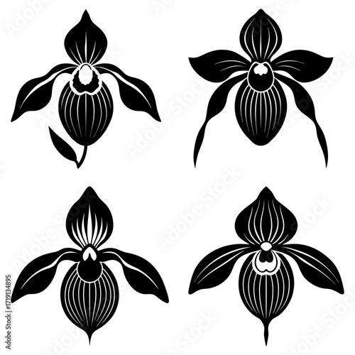 Four stylized black and white lady slipper orchid flowers in a symmetrical arrangement on white background