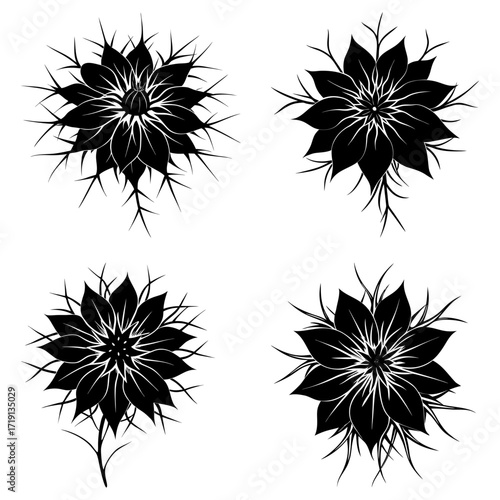 Four black and white nigella flowers with spiky details arranged in a square pattern on a white background