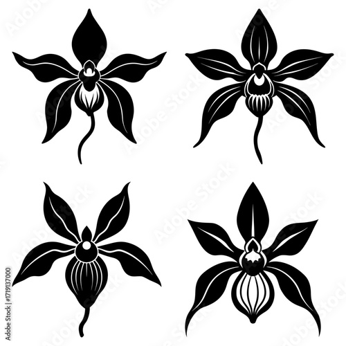 Four black and white orchid flowers arranged in a square pattern on a white background image view