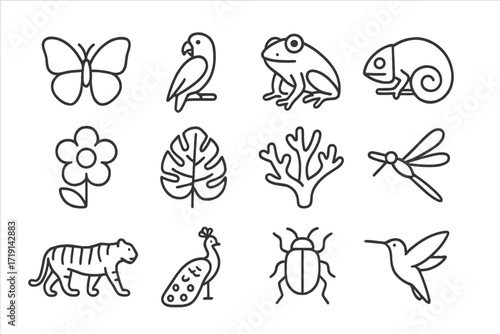 Wild Nature Icon Set. Outline icon set of Wild nature colors: butterfly, parrot, frog, chameleon, flower,