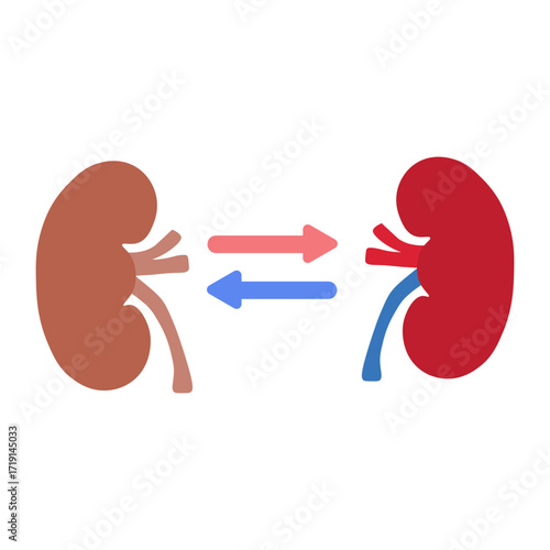 kidney transplant 