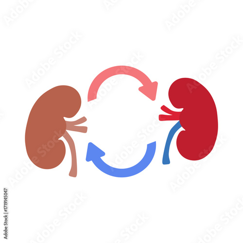 kidney transplant 