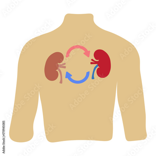 kidney transplant 