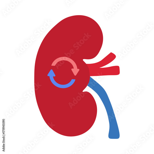 kidney transplant 