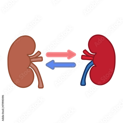 kidney transplant 