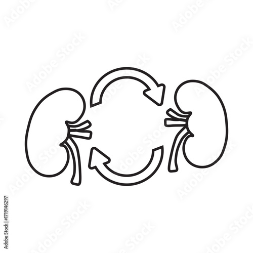 kidney transplant line icon