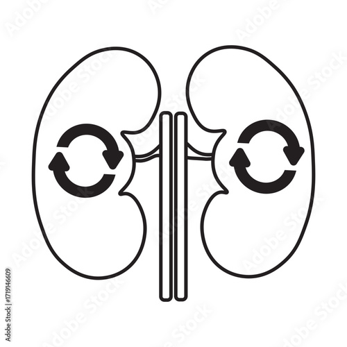 kidney transplant line icon