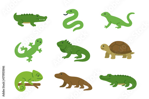 Reptile Icon Set. Flat icon set of reptiles: crocodile, snake, lizard, gecko, iguana, tortoise, chameleon,