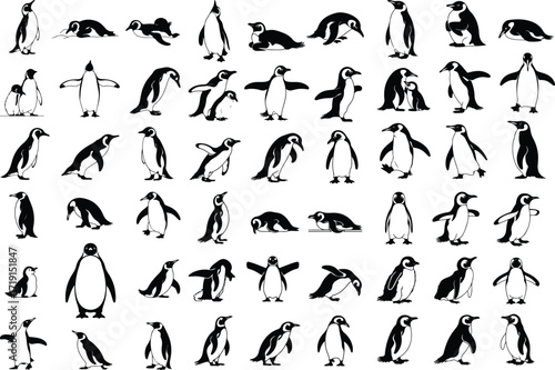 Penguin Bird Animal Icon Silhouette Set Wildlife Penguin Silhouette Icon Collection