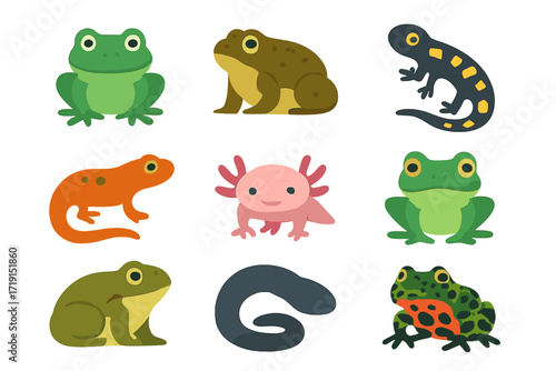 Amphibian Icons Set. Flat icon set of amphibians: frog, toad, salamander, newt, axolotl, tree frog, bullfrog,