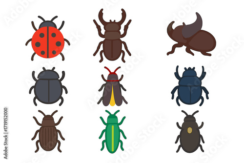 Beetle Icon Collection. Flat icon set of beetles: ladybug, stag beetle, rhinoceros beetle, dung beetle,