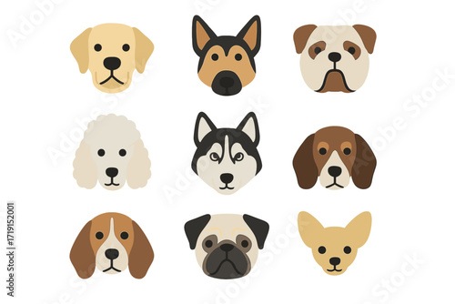 Dog Icon Grid. Flat icon set of dogs: labrador, german shepherd, bulldog, poodle, husky, dachshund, beagle,