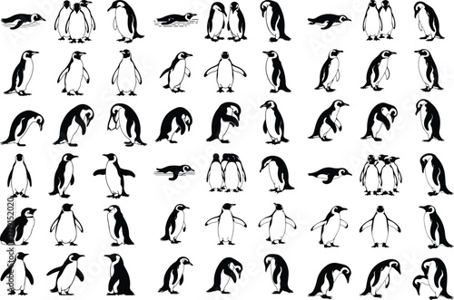 Penguin Bird Animal Icon Silhouette Set Wildlife Penguin Silhouette Icon Collection