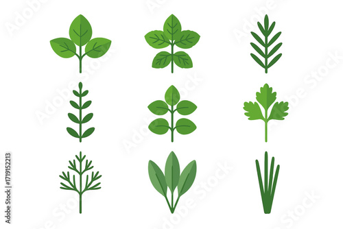 Herb Icons Grid. Flat icon set of herbs: basil, mint, rosemary, thyme, oregano, parsley, dill, sage, chives.