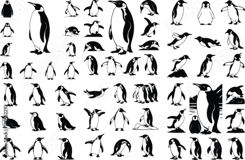 Penguin Bird Animal Icon Silhouette Set Wildlife Penguin Silhouette Icon Collection