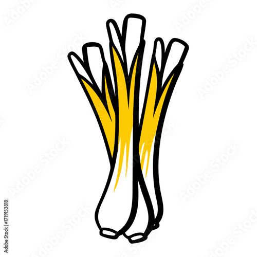 Illustration of a bunch of leeks with yellow tops and white bottoms outlined in black on a white background