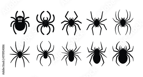 Collection of Black Spider Silhouettes on White Background