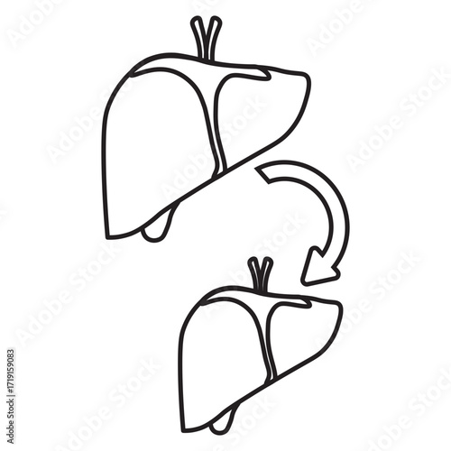 Liver Transplant Medical line Icon