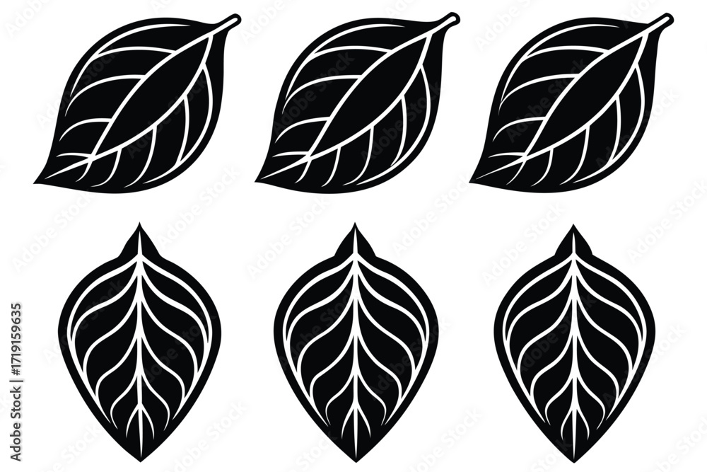 Fototapeta premium Silhouette icon set of cocoa leaves vector illustration