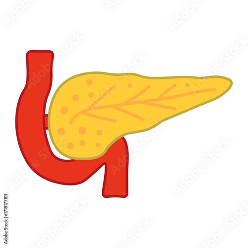 Pancreas Medical Icon