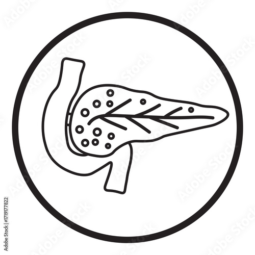 Pancreas Medical Line Icon