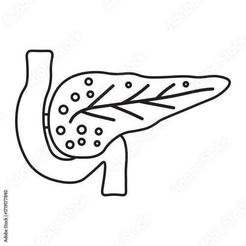 Pancreas Medical Line Icon