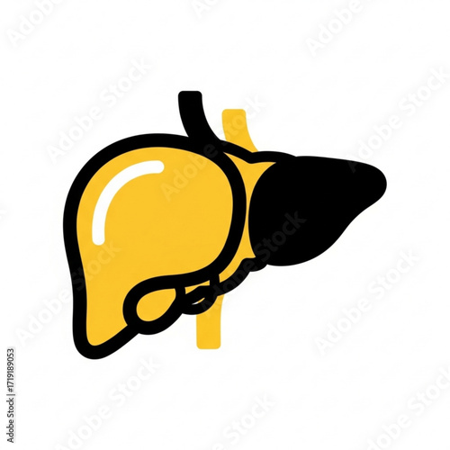 Vector art of stylized illustration of a human liver in yellow and black