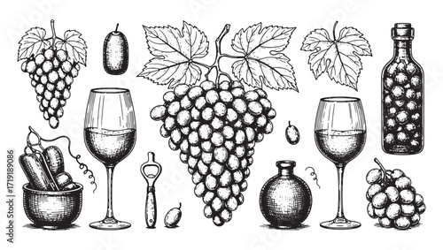 grapes vine wine set engraving vector style