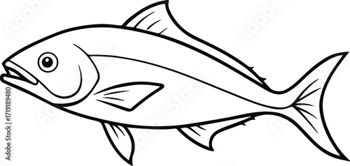 mahi mahi fish line art, black outline, vector and illustration