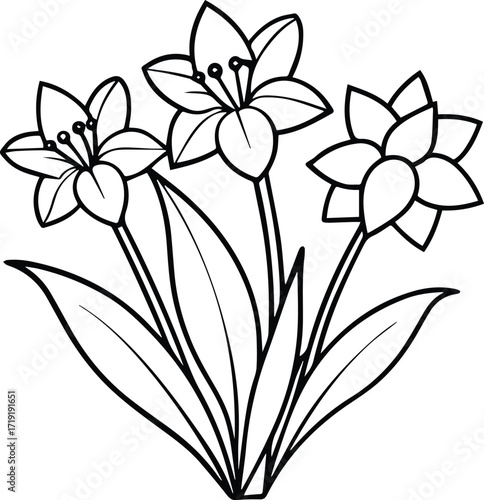 spring flowers line art, black outline, vector and illustration