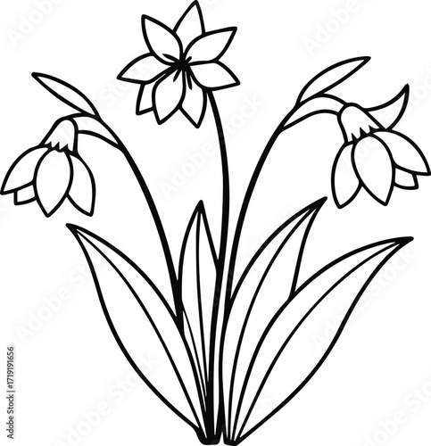 spring flowers line art, black outline, vector and illustration
