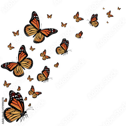 A graceful swarm of monarch butterflies taking flight against a clean white background creating a dynamic diagonal pattern.