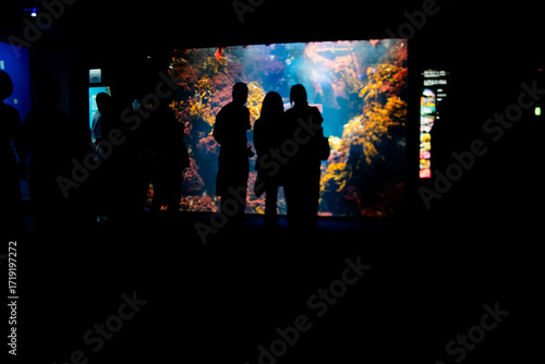 Silhouette of people looking at a wide aquarium in Japan.