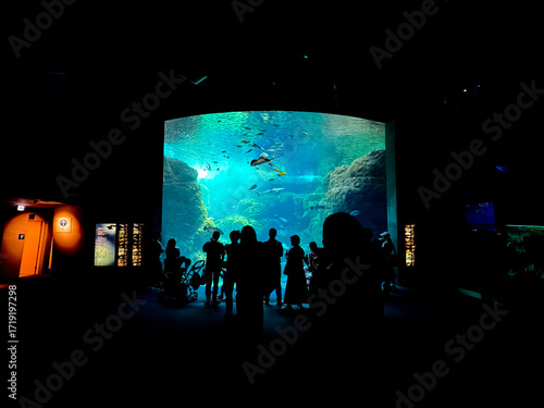 Silhouette of people looking at a wide aquarium in Japan.
