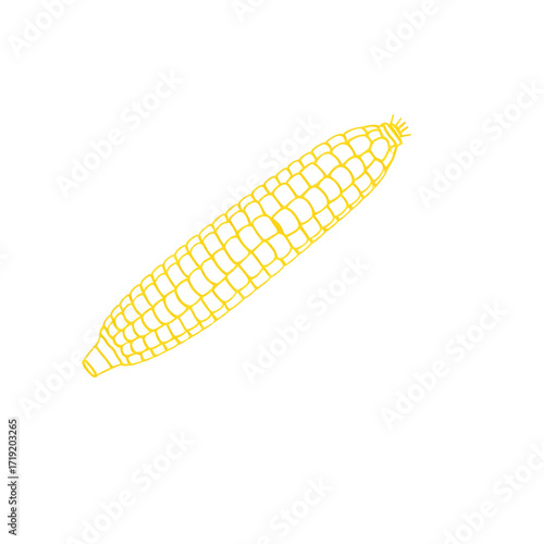 Corn, cob, the drawing is made in a minimalistic style and reflects the essence of the object with a single continuous line.