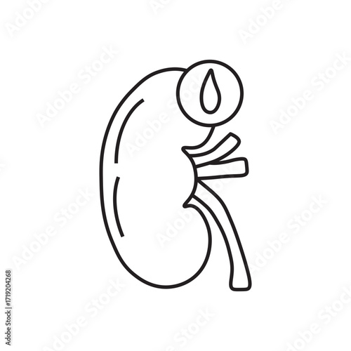 Diabetic Nephropathy
