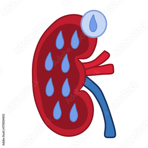 Diabetic Nephropathy