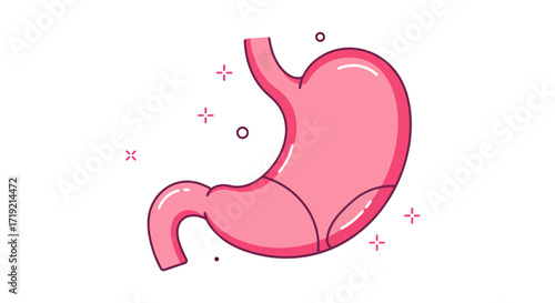 Vibrant pink stomach illustration for medical education or healthcare marketing, a modern design that conveys anatomy and digestion in a simple, engaging way