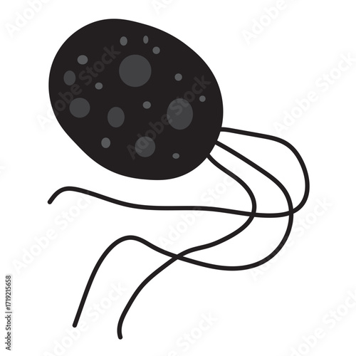 Pyrococcus furiosus