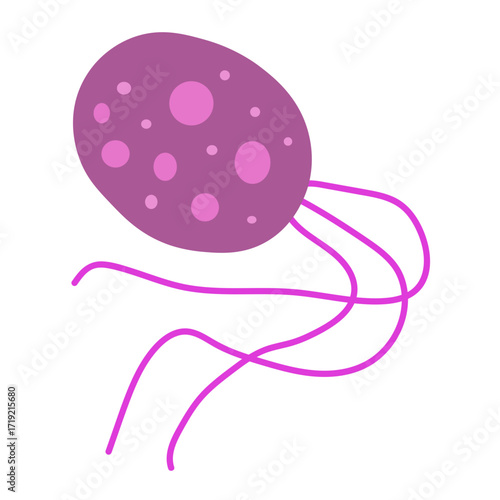Pyrococcus furiosus
