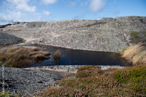Pond in Seascape